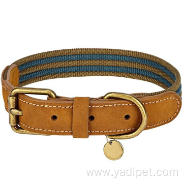 pet dog neck collar personalized waterproof collar